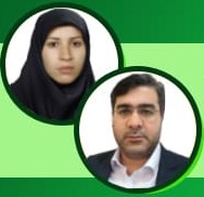 تصویر فیزیوتراپیست دکتر محمدرضا اسدی، فیزیوتراپیست مریم سرایی